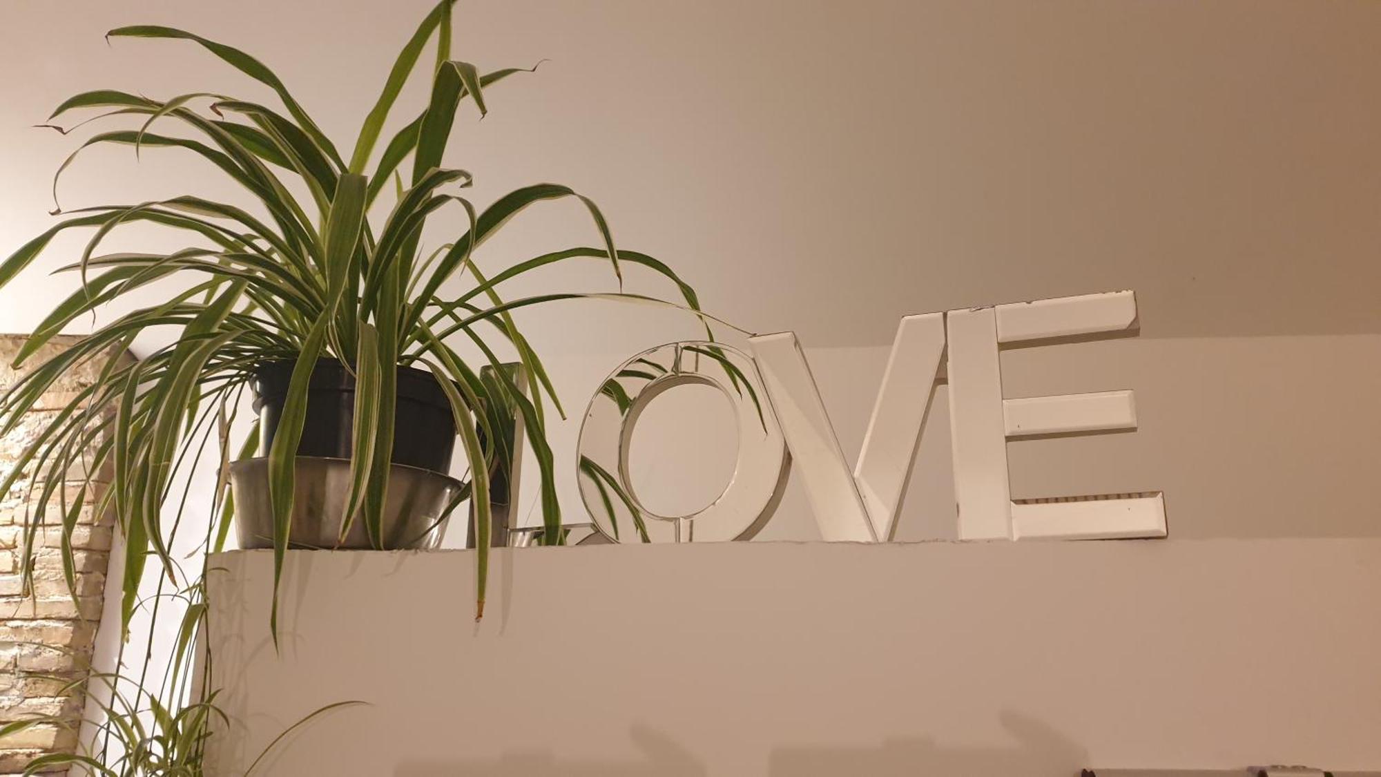 Love Room- Spa- Escale Amoureuse Puygaillard-de-Quercy Exteriör bild