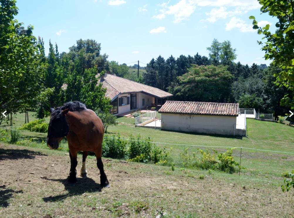 Love Room- Spa- Escale Amoureuse Puygaillard-de-Quercy Exteriör bild